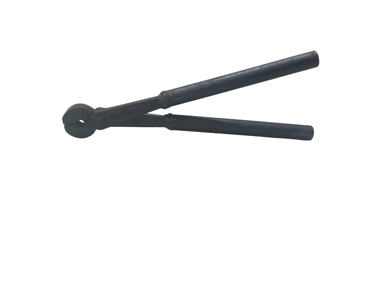 YES + $20.00